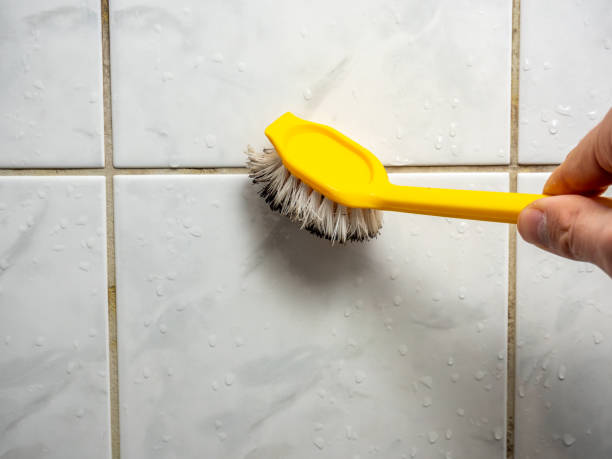Mold Removal Process in Shaw, MS