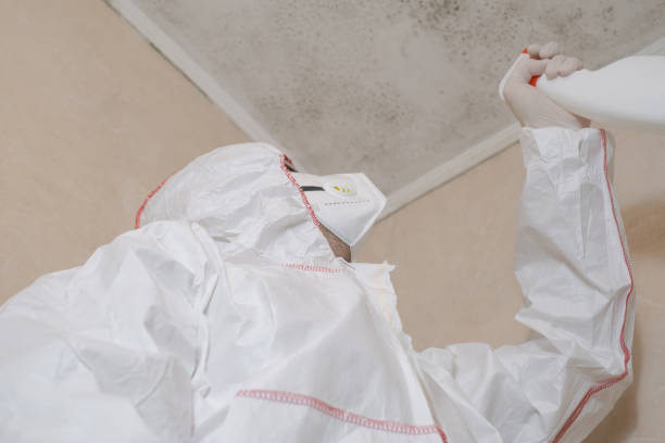 Best Commercial Mold Removal  in Shaw, MS