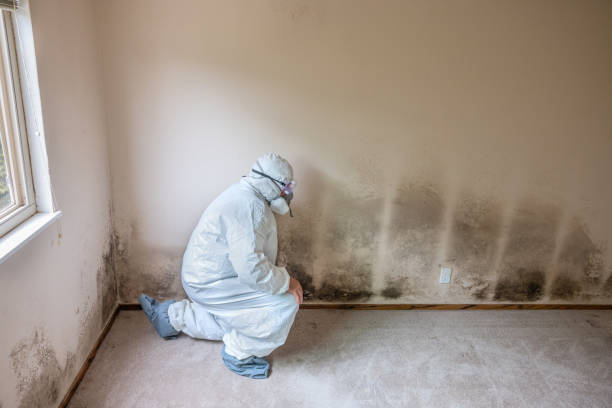 Crawl Space Mold Removal in Shaw, MS
